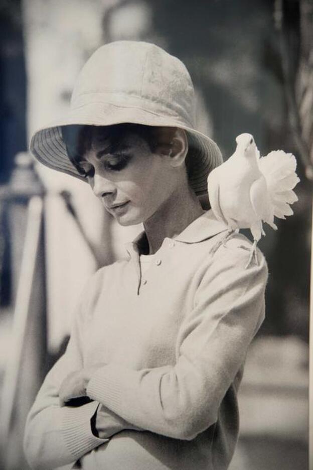 Retrato de la actriz Audrey Hepburn./gtres