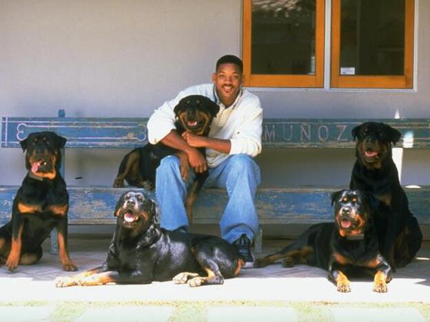 Will Smith y sus cinco perros./getty