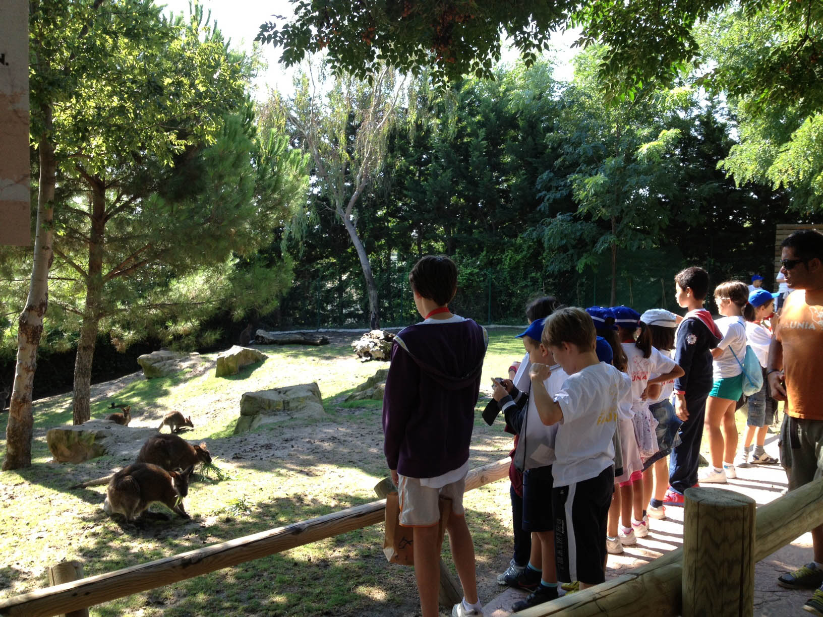 Campamento de verano de Faunia en Madrid