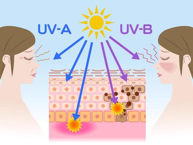 Los rayos UVB son los producen las quemaduras y por tanto el cáncer, mientras que los rayos UVA son los causantes del envejecimiento prematuro de la piel, daños que no vemos de forma inmediata pero que aparecerán a lo largo de nuestra vida.