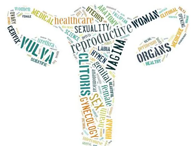 Infografía sobre la reproducción sexual femenina./FOTOLIA