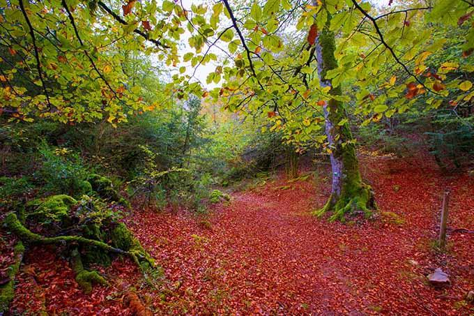 Los rincones más románticos para recuperar la pasión: Navarra