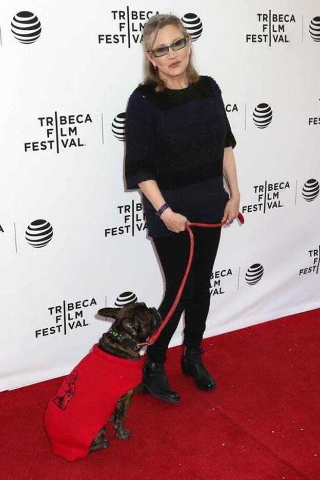 Carrie Fisher en un photocall con su perro./Gtres