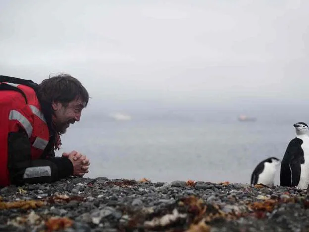 Javier Bardem, cara a cara con los pingüinos en el Antártico.