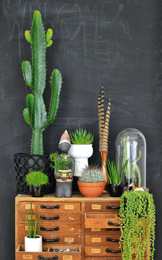 Decoración de primavera: ideas, tendencias y novedades: Plantas