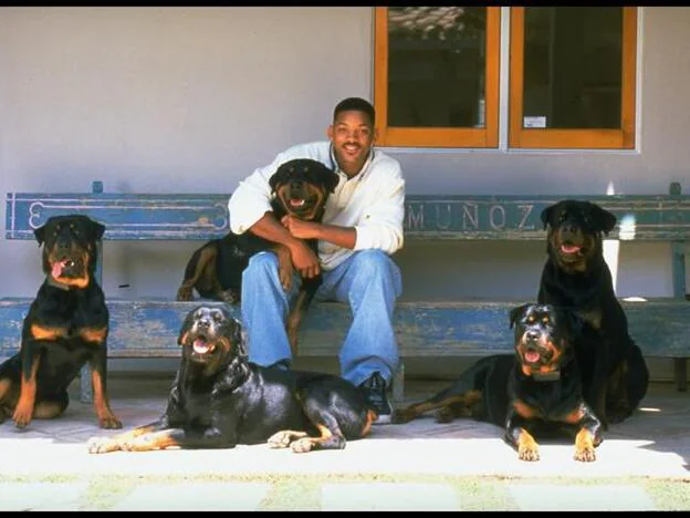 Mítica fotografía de Will Smith con sus cinco rottweilers.