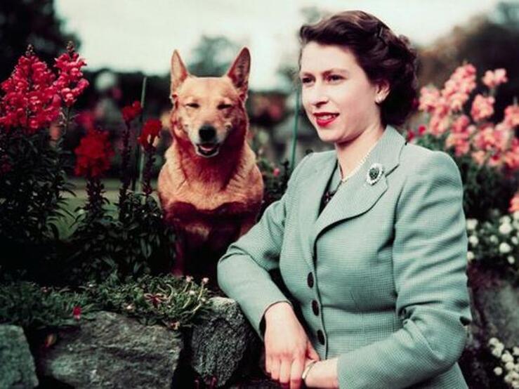 La gran historia de amor de Isabel II con sus 'corgies'