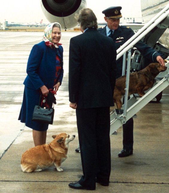 La gran historia de amor de Isabel II con sus 'corgies'