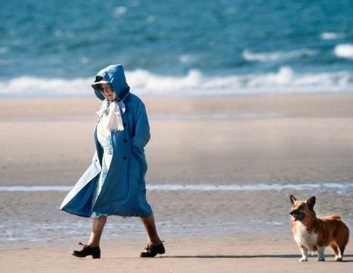 La gran historia de amor de Isabel II con sus 'corgies'