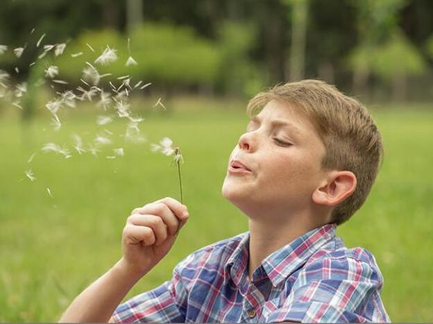 Un niño, disfrutando de la naturaleza. Haz click en la imagen para saber cuáles son los mejores alimentos contra el estrés y la ansiedad./GTRES