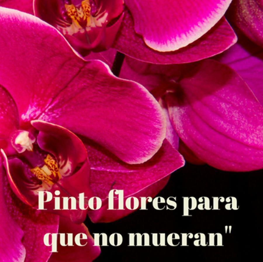 20 frases inolvidable de Frida Kahlo