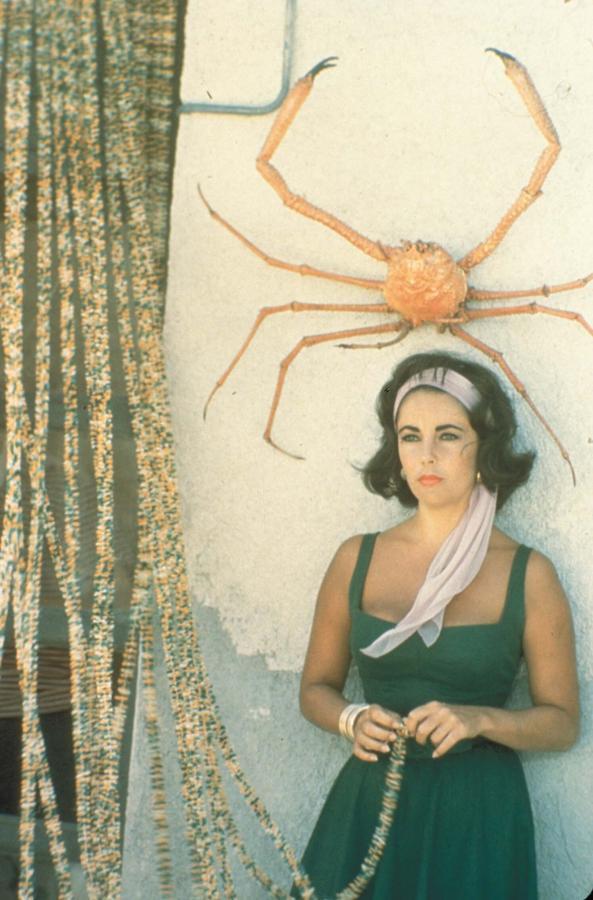 Elizabeth Taylor, un icono