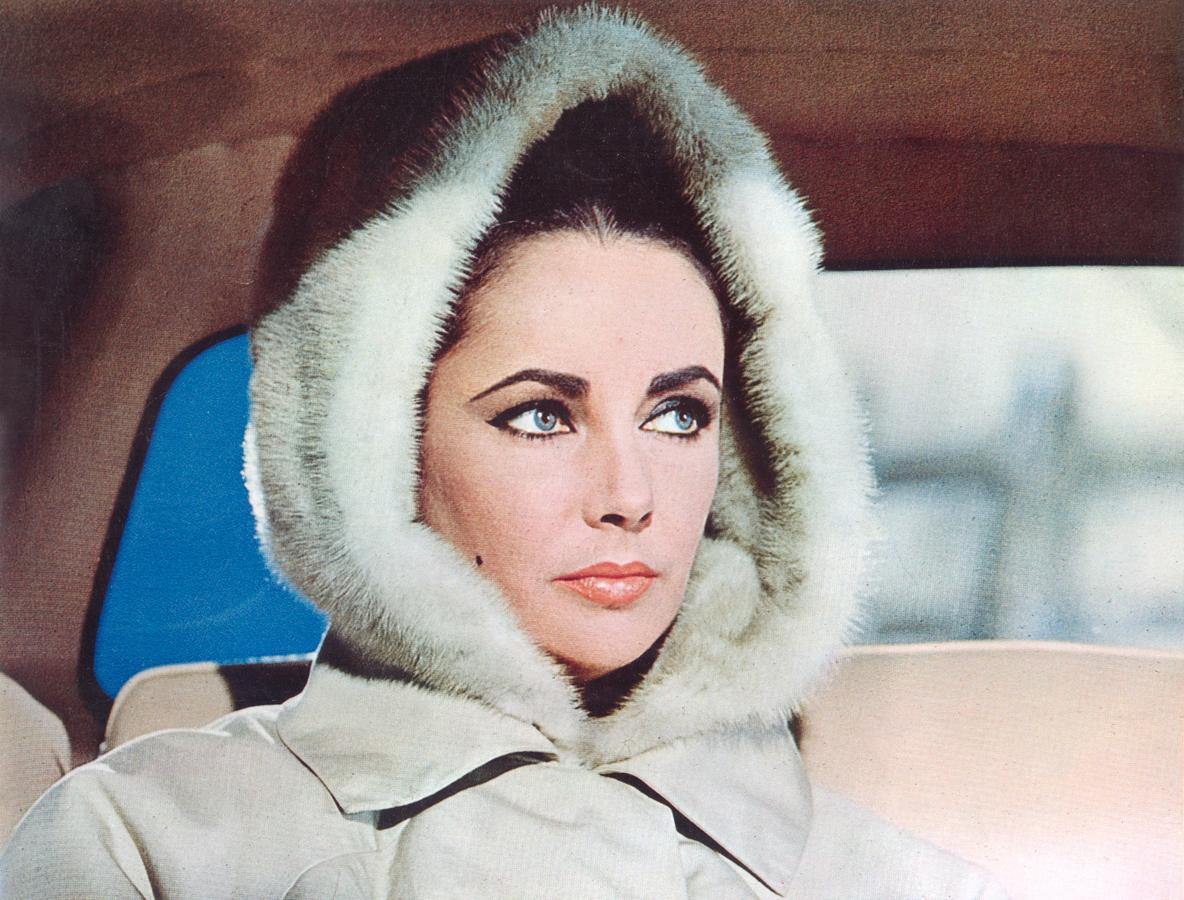 Elizabeth Taylor, un icono