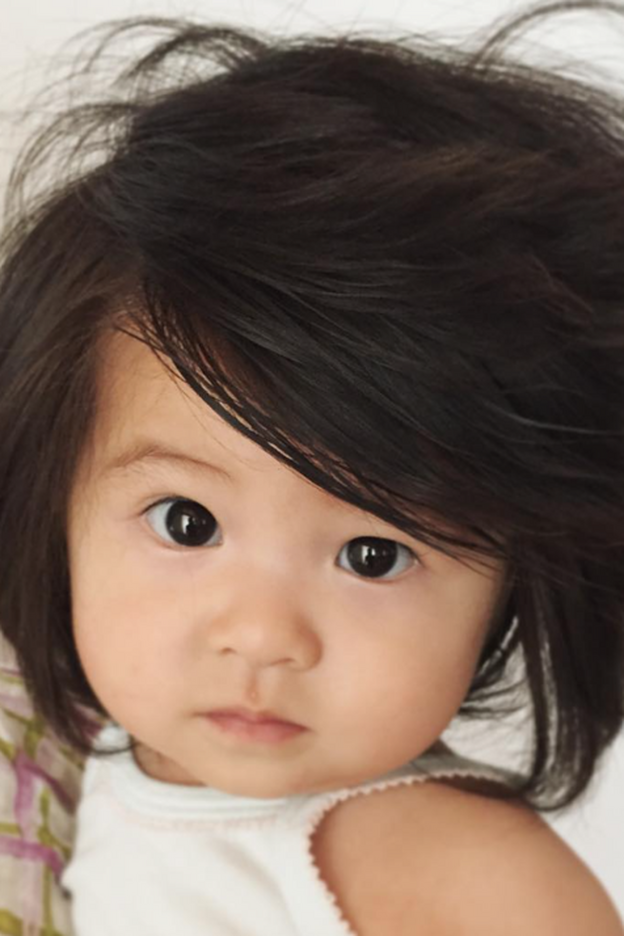 Un primer plano de la minibelleza japonesa de Baby Chanco.