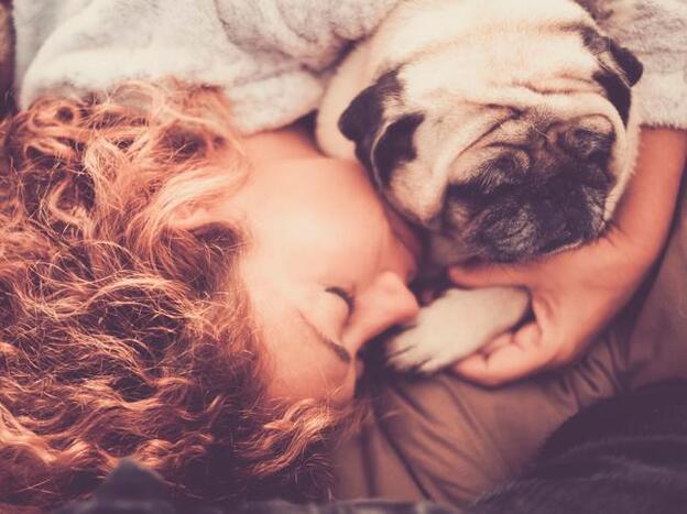 Haz clic y descubre los famosos que sienten un amor incondicional por sus mascotas./getty images