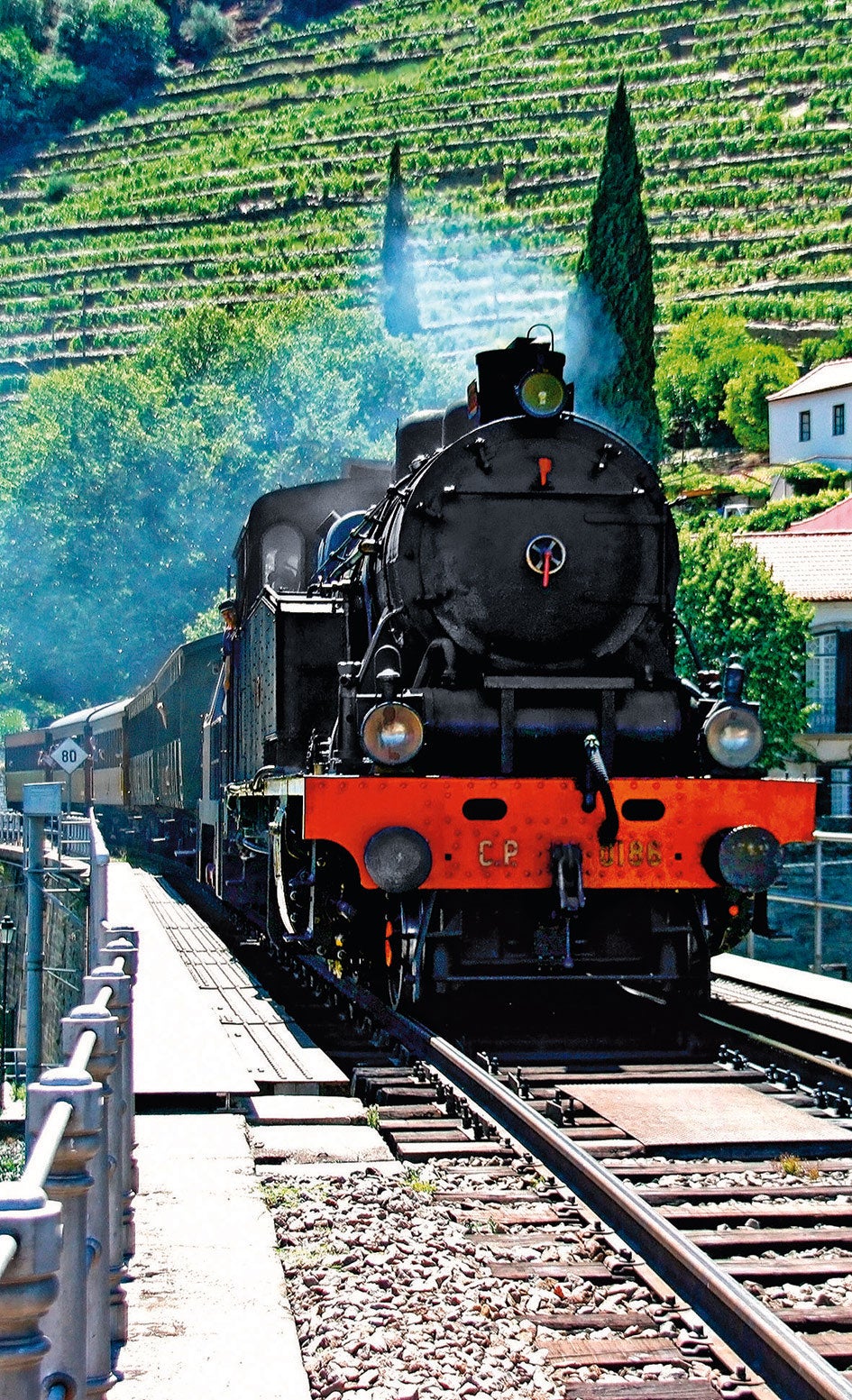 Oporto: brindar a orillas del Duero