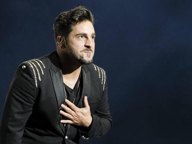 David Bustamante se declara a Yana Olina en pleno concierto en Mallorca. Pincha sobre la foto para ver las parejas de famosos que han comenzado a salir en 2019./cordon press.