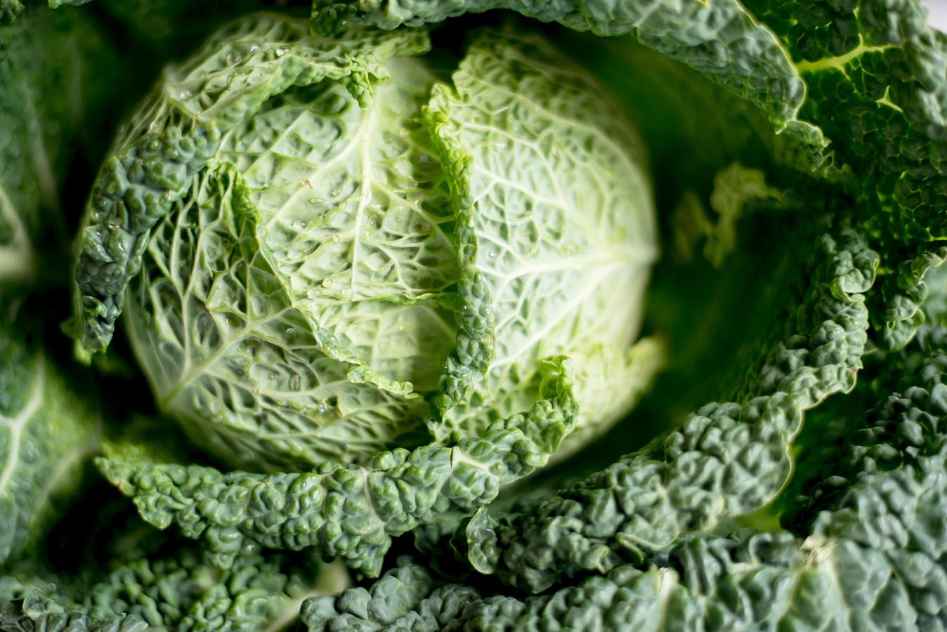 Coles y verduras de hoja verde para controlar los estrógenos