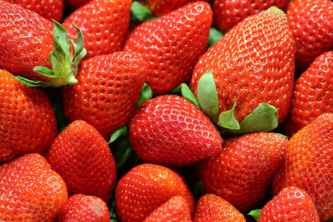 Fresas y fresones para acumular antioxidantes