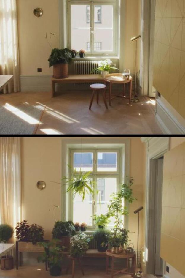 Fotos: Cómo decorar tu casa con plantas de interior: fichamos las ideas más  bonitas de Instagram en H&M Home y  Home