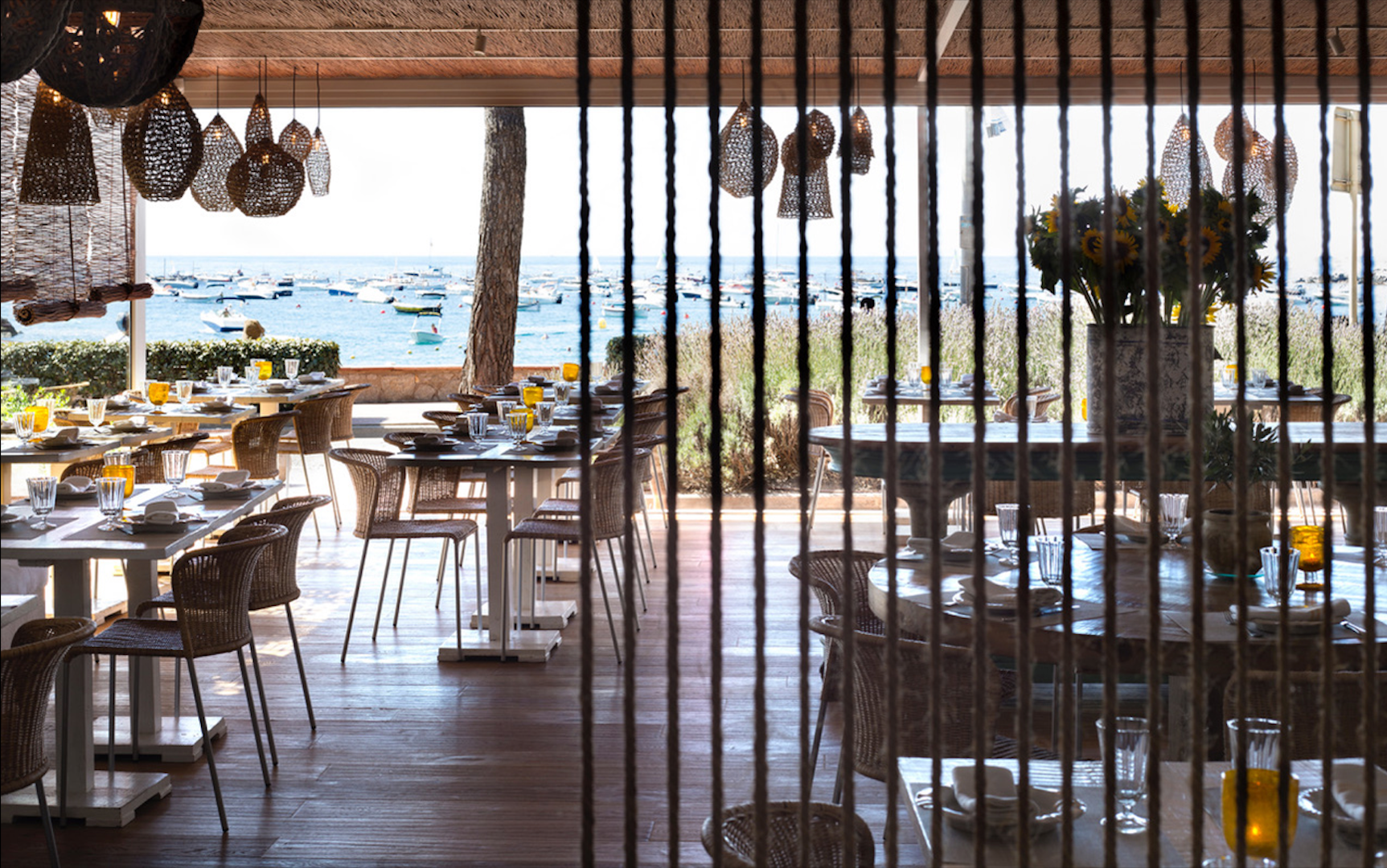 Los mejores chiringuitos de playa de Cádiz, o Marbella para comer muy bien por poco dinero Los mejores chiringuitos de playa de Cádiz, o Marbella para comer muy bien por poco dinero