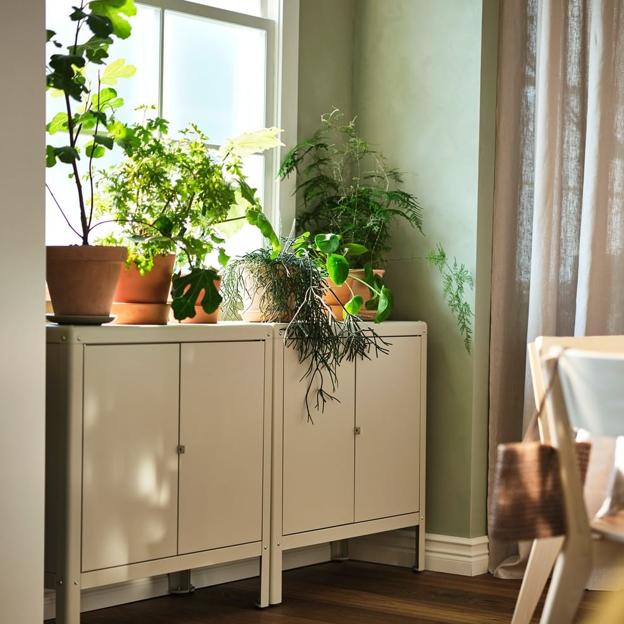 Combinar plantas pequeñas con otras de más altas, el combo perfecto para conseguir dinamismo y elegancia en casa.