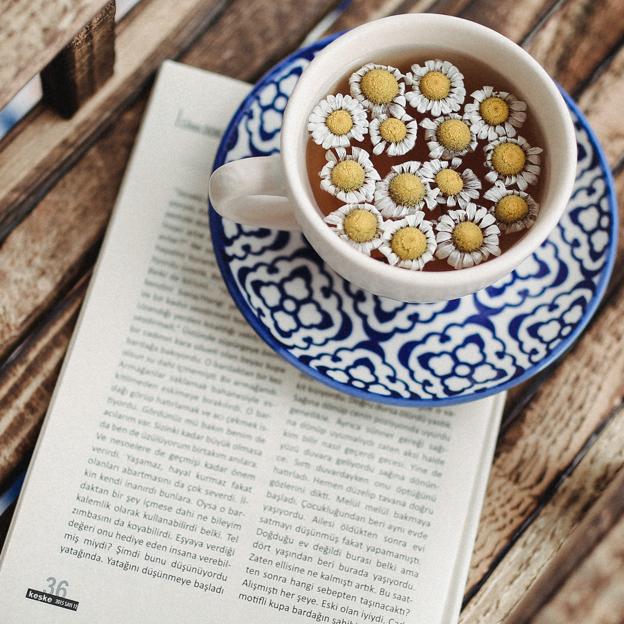 La infusión con té y café verde que puedes encontrar en Mercadona y que acelera tu metabolismo