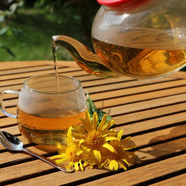 Infusión de flor de tilo: la bebida que deberías tomar cada noche para adelgazar y dormir bien