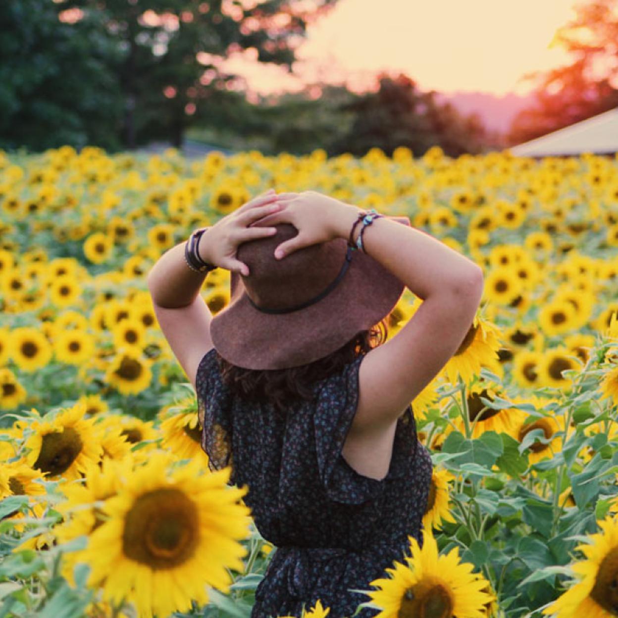 El selenio fortalece la salud mental /NOELLE OTTO / PEXELS