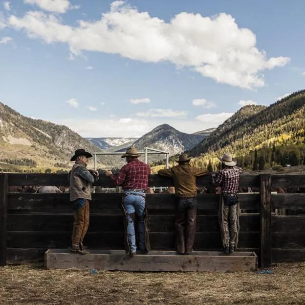 en skyshowtime: Por qué tienes que ver Yellowstone, la serie de Kevin  Costner | Mujer Hoy