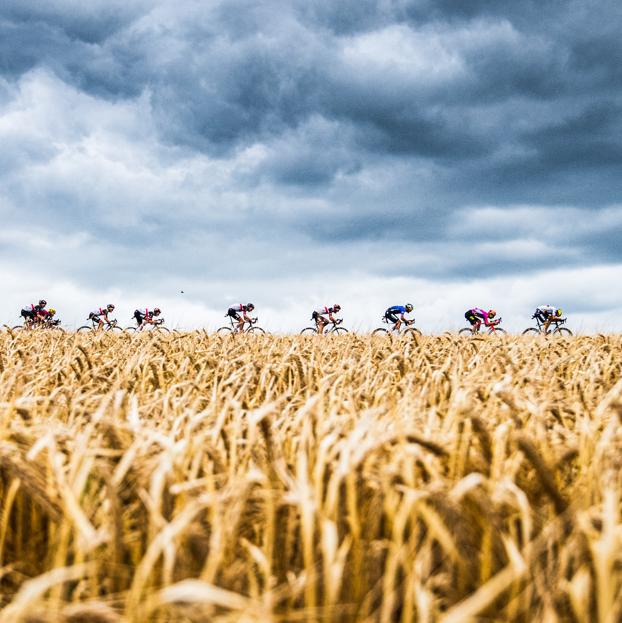 Imagen del documental sobre el Tour de Francia.