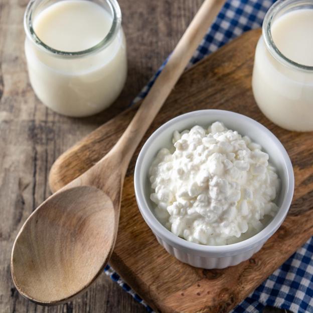 Los probióticos se encuentran en los alimentos fermentados. 