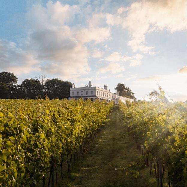 Lympstone Manor y sus viñedos, un emplazamiento espectacular al suroeste de Inglaterra.