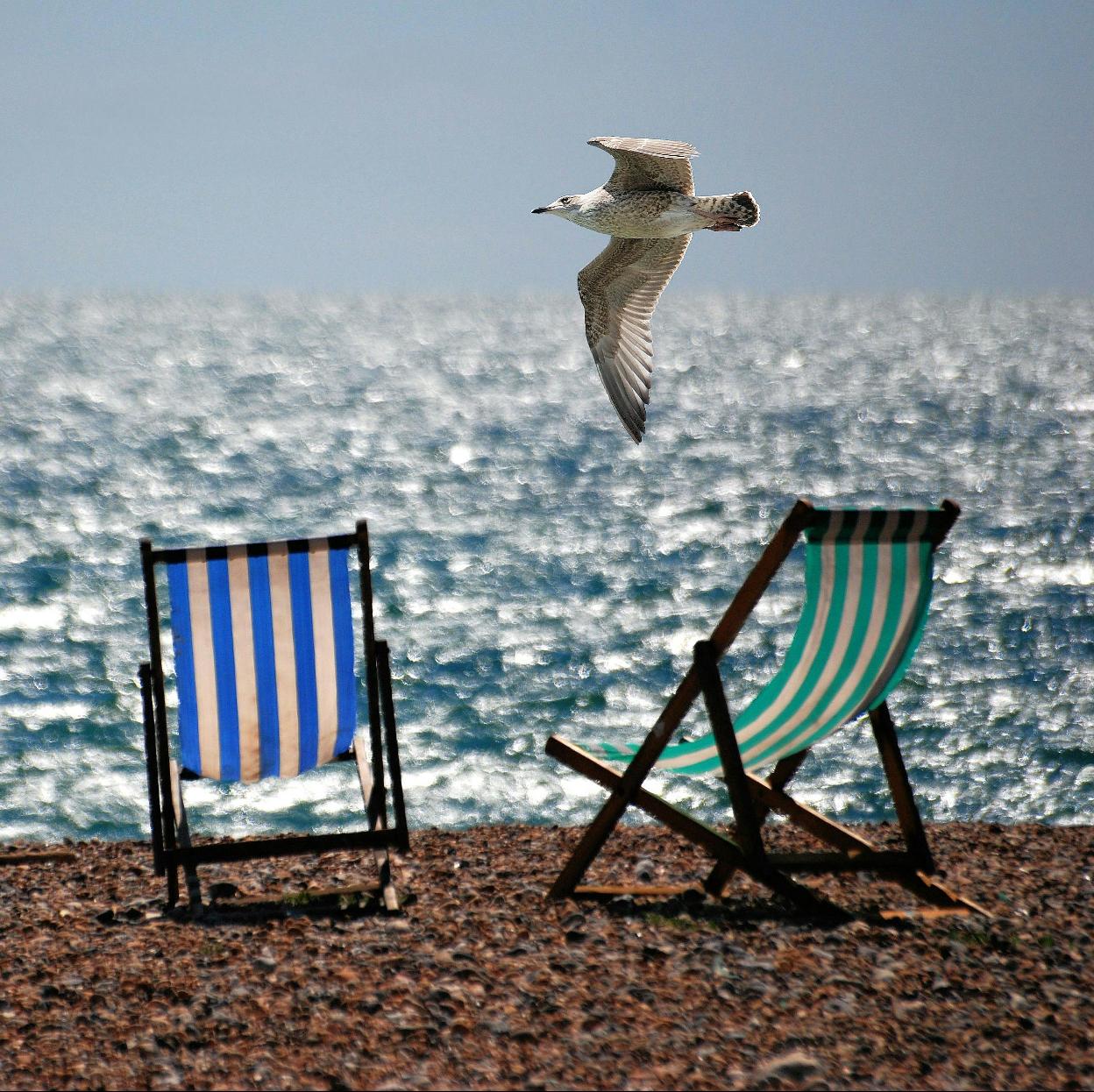 Disfrutar de la playa sin dejar de ejercitar la mente es posible con los cuadernos de actividades para adultos, un entretenimiento adictivo./Pixabay/pexels