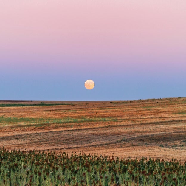 Luna llena de verano