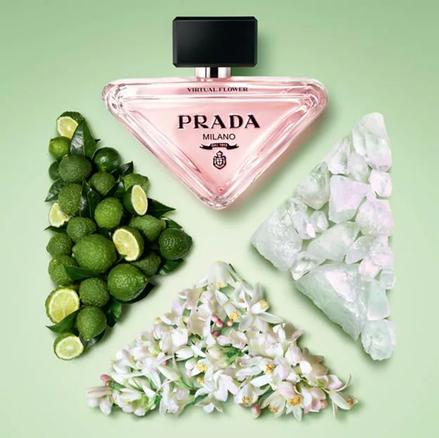 La composición del perfume de Prada.