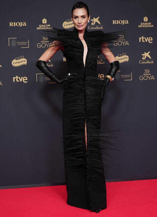 Todos los looks de los Premios Goya 2025 (LIMITED PICTURES)