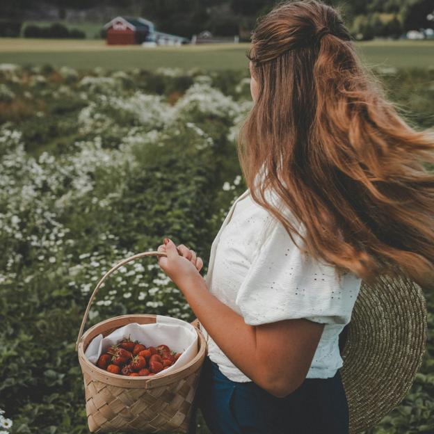 La fruta y la verdura debería ser la base de una alimentación equilibrada. 