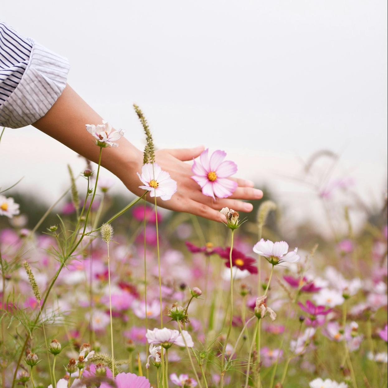 Rituales de la buena suerte para el equinoccio de primavera, según tu signo del zodiaco