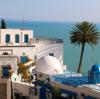  https://www.turium.es/destinos/sidi-bou-said-tunez-paraiso-casas-blancas/